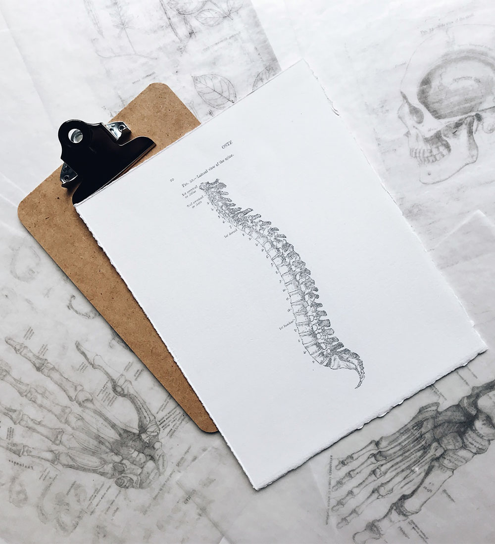 spinal