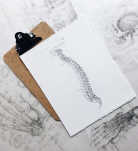 denver chiropractic treatment