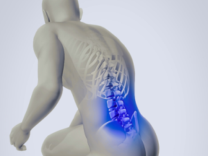 denver chiropractor for back pain
